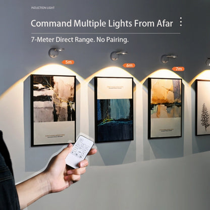 Cordless Art Picture Light | Motion Sensor Night Light for Wall & Cabinet(2 Pack)