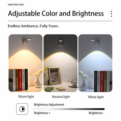 Cordless Art Picture Light | Motion Sensor Night Light for Wall & Cabinet(2 Pack)